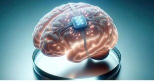 تصویب ۱۸ طرح برای تکمیل زنجیره ایمپلنت‌های مغزی در ۱۳ دانشگاه برتر کشور